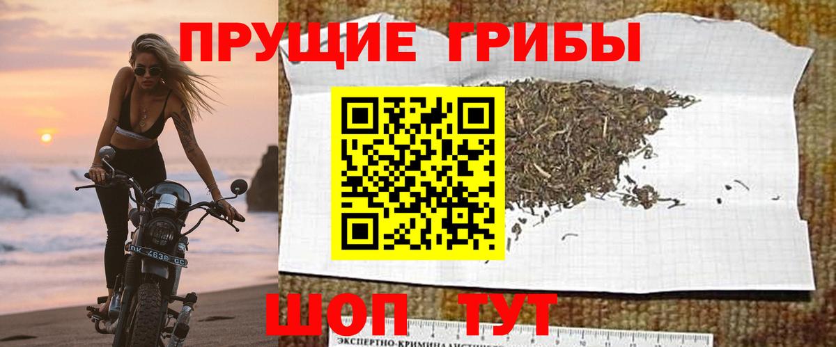 Галлюциногенные грибы Psilocybine cubensis  Вход с VPN  Галлюциногенные грибы Psilocybine cubensis  Дзержинск 